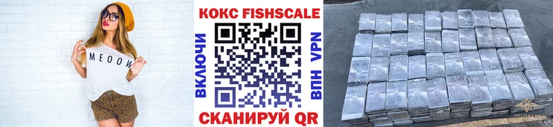 Cocaine Fish Scale  darknet наркотические препараты  Подпорожье 