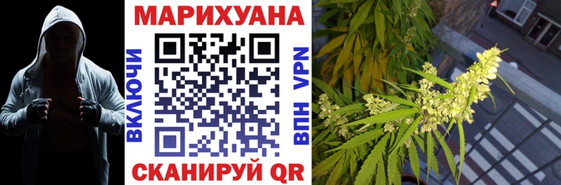 Конопля индика  мориарти официальный сайт  Подпорожье 
